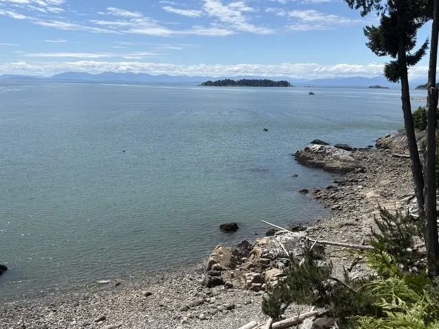 Photo 3 of 35 at 1801 Arbutus Point Road