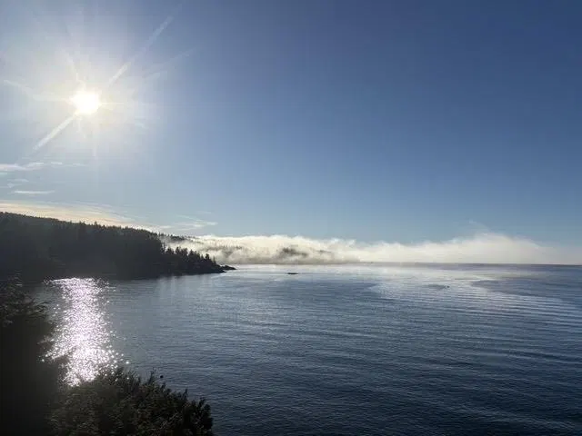 Photo 4 of 35 at 1801 Arbutus Point Road