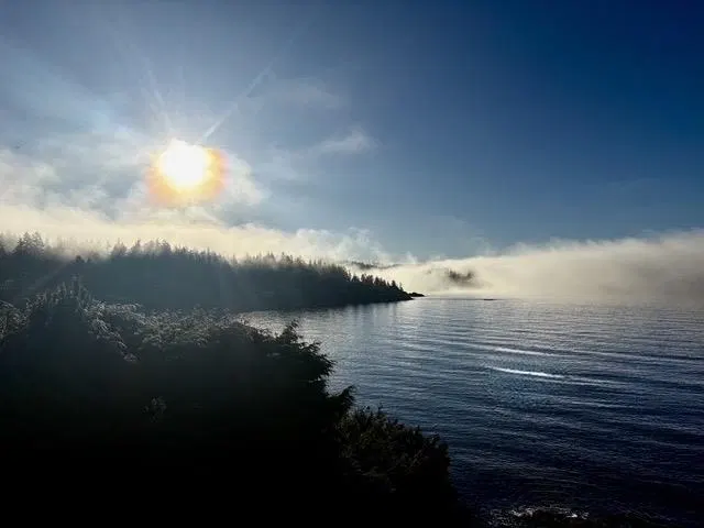 Photo 5 of 35 at 1801 Arbutus Point Road