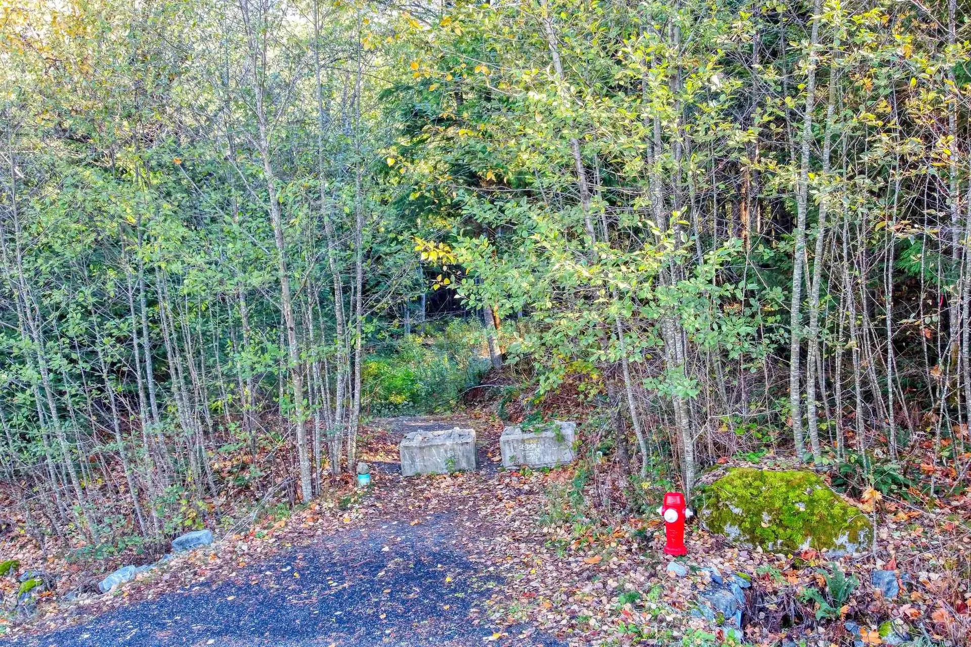 1017 Copper Drive