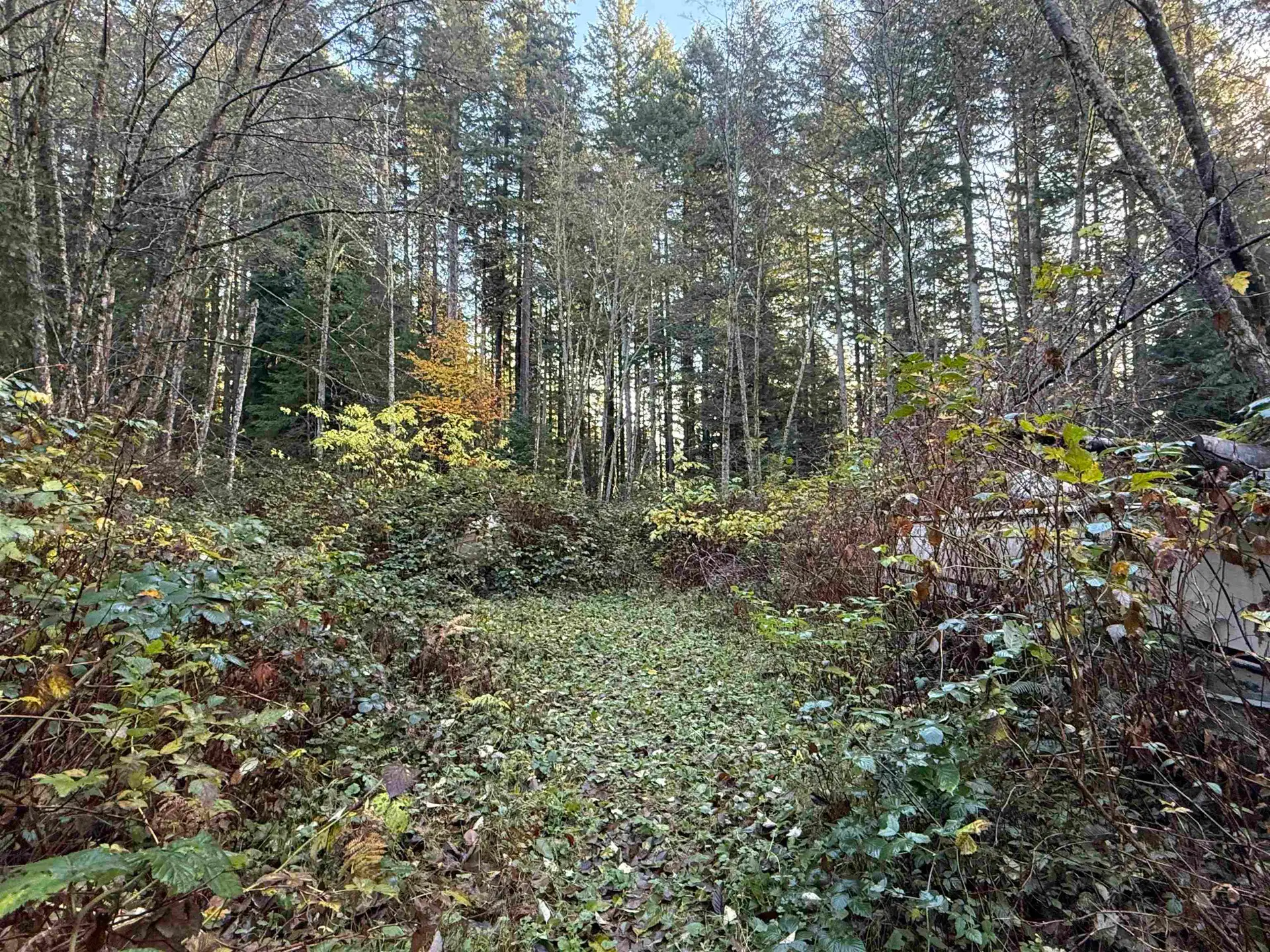 1594 Cemetery Road