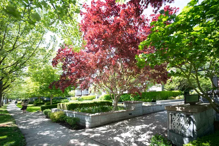 Photo 1 of 17 at #225 – 5777 Birney Avenue