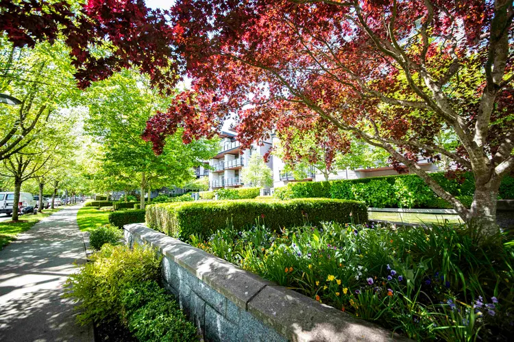 Photo 2 of 17 at #225 – 5777 Birney Avenue