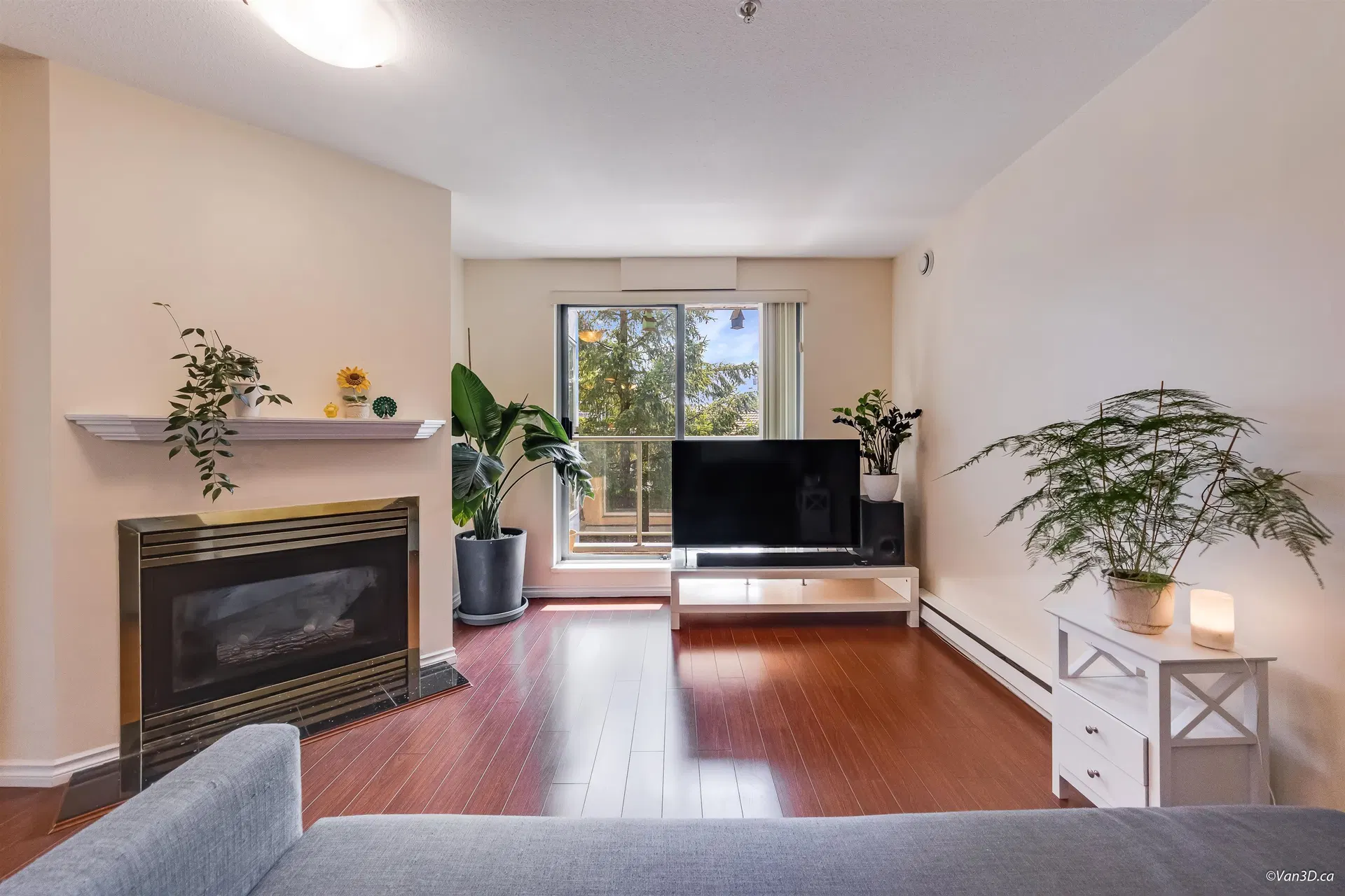 Photo 2 of 26 at #209 – 5818 Lincoln Street