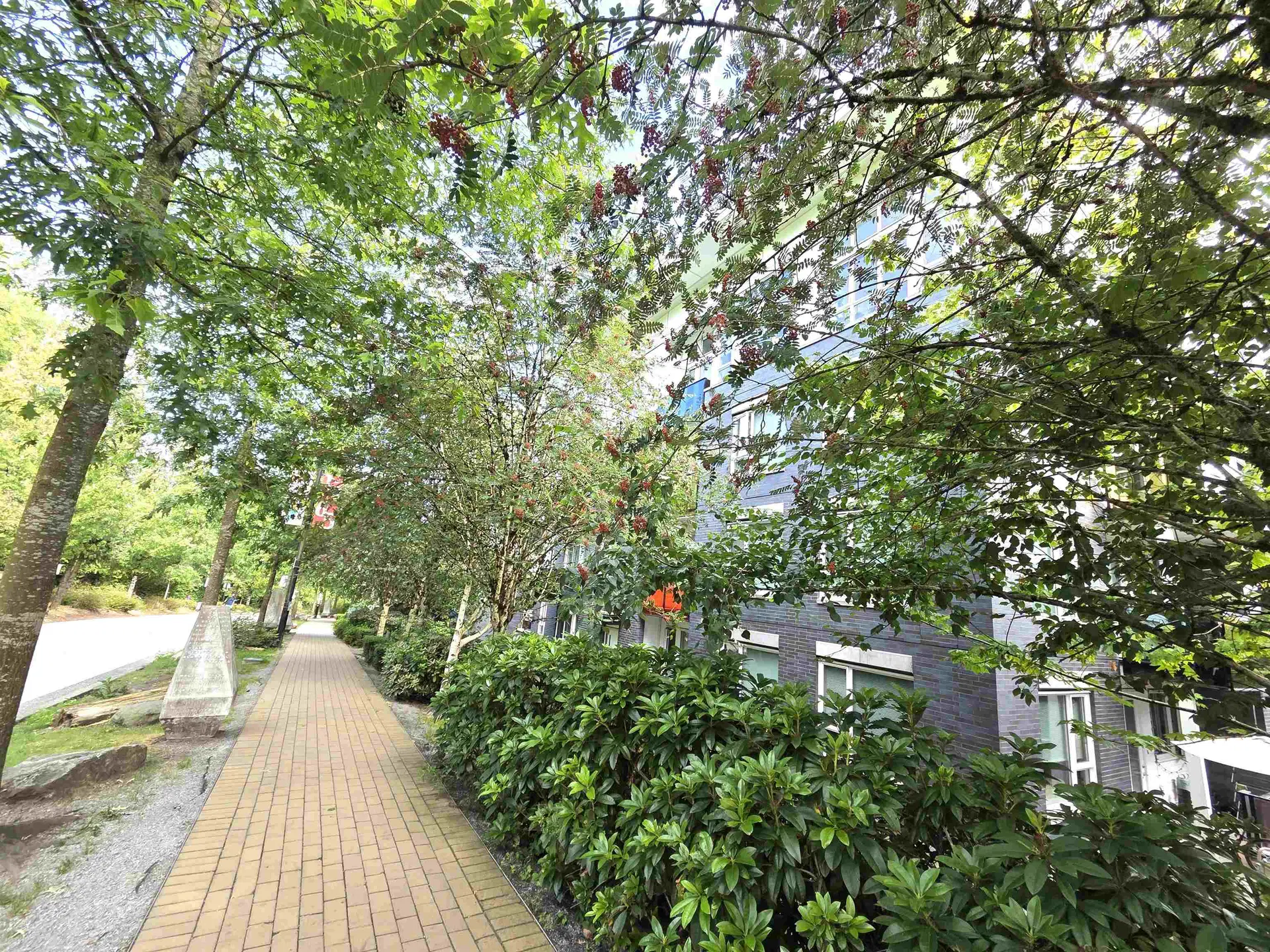 Photo 4 of 17 at #111 – 9250 University High Street