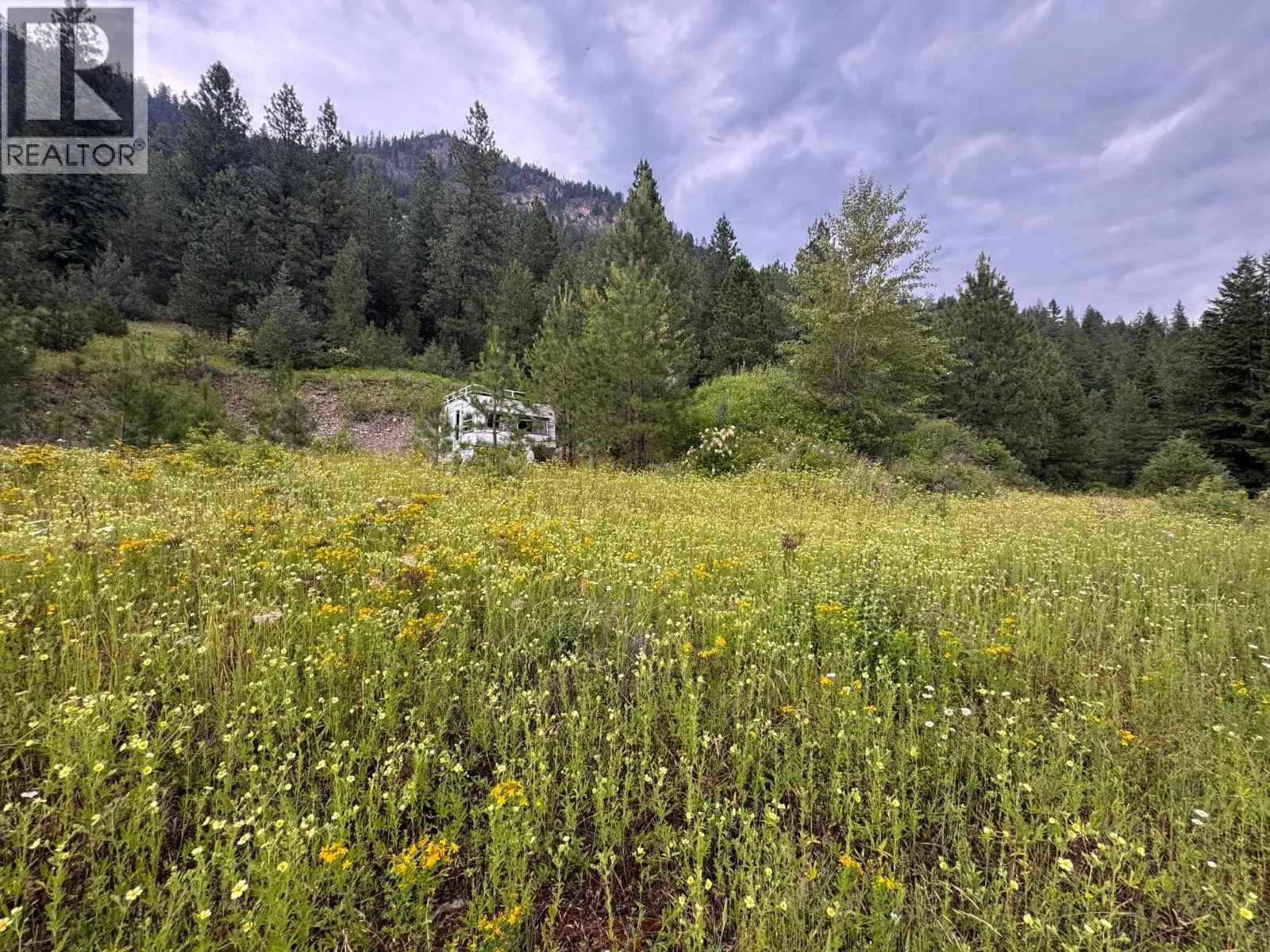 Photo 1 of 28 at 40 Acres Shuswap River Drive