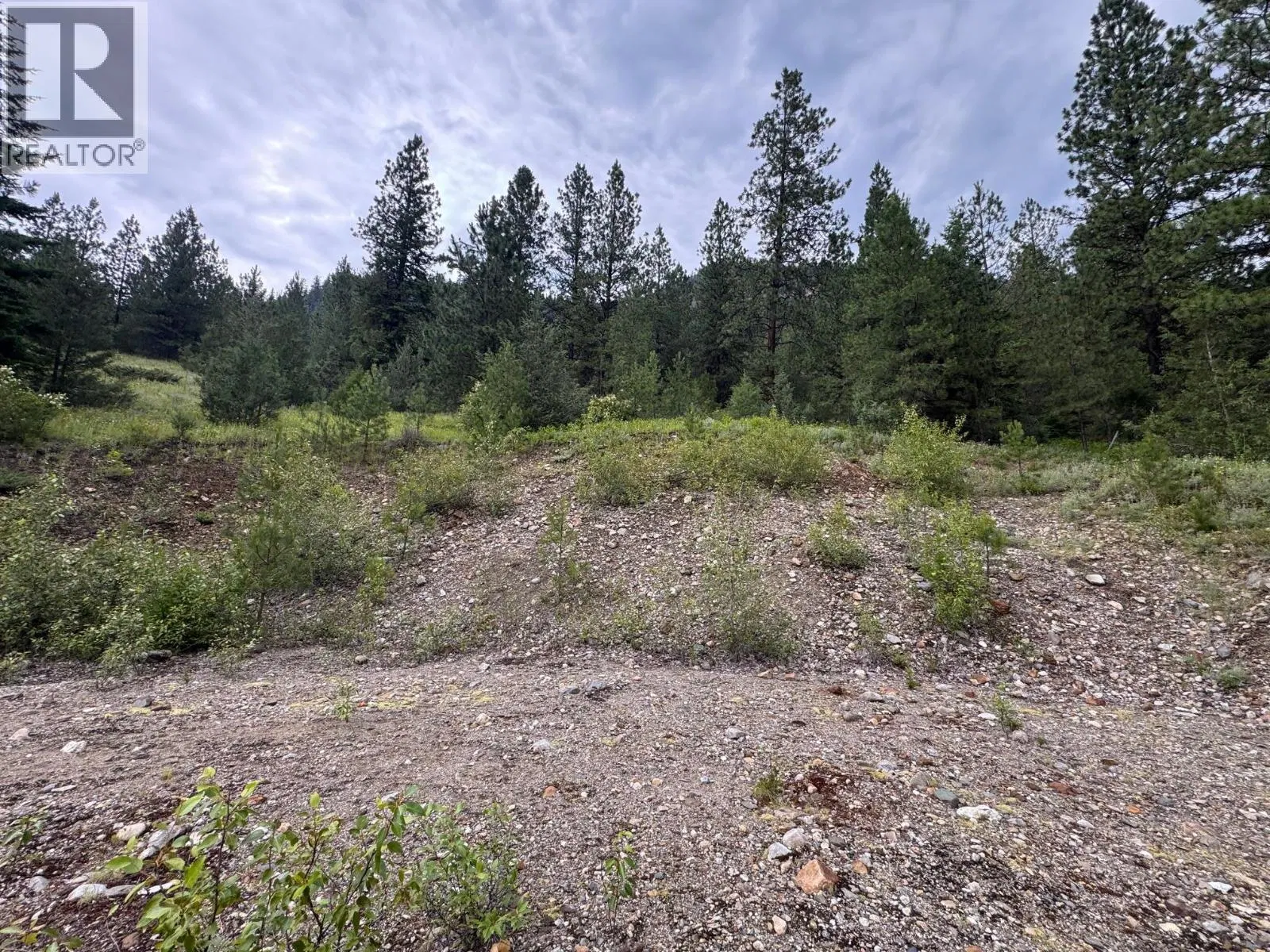 Photo 3 of 28 at 40 Acres Shuswap River Drive