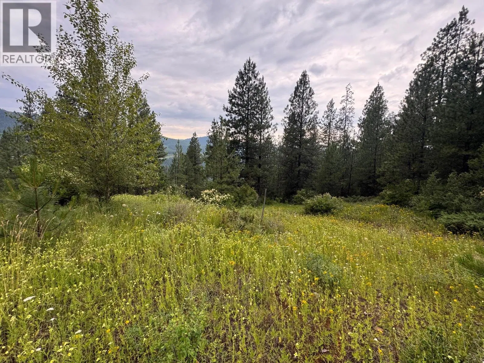 Photo 4 of 28 at 40 Acres Shuswap River Drive