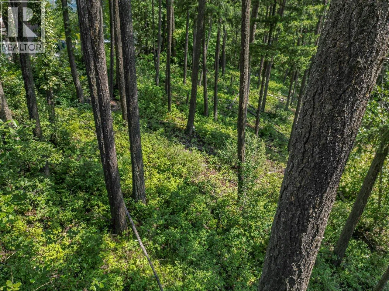 Lot 25 Forest View Place