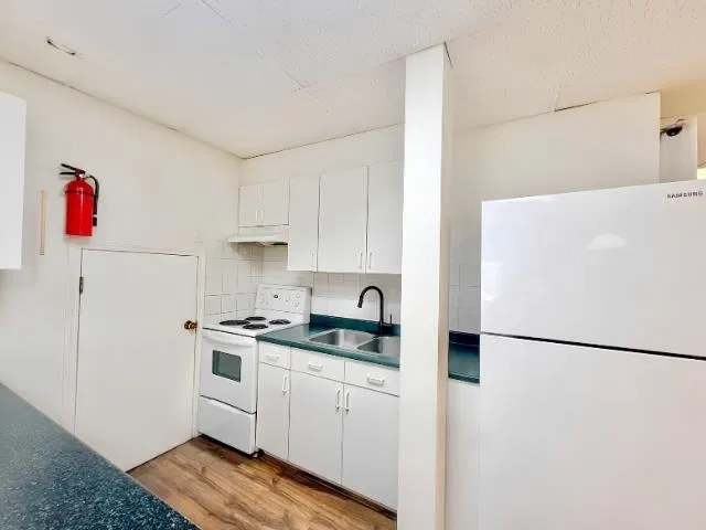 Photo 3 of 15 at Basement – 384 Blue Mountain Street