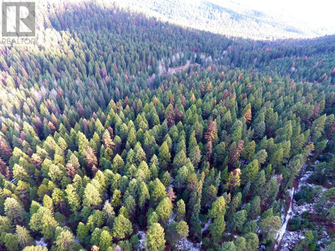 Photo 4 of 9 at Lot 1213S INGRAM CREEK FOREST SERVICE Road