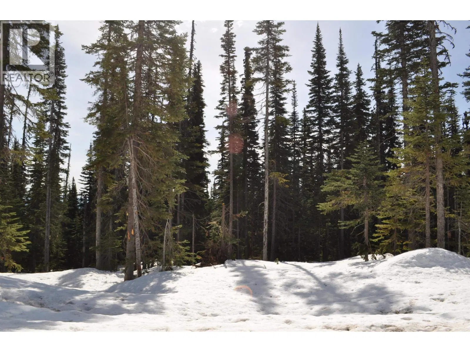 Photo 1 of 11 at PST – 12 ALPINE Way