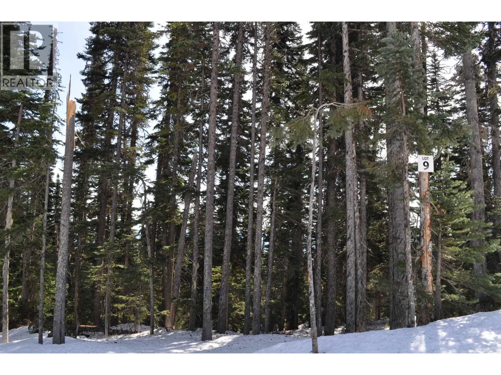 Photo 1 of 9 at PST – 9 ALPINE Way