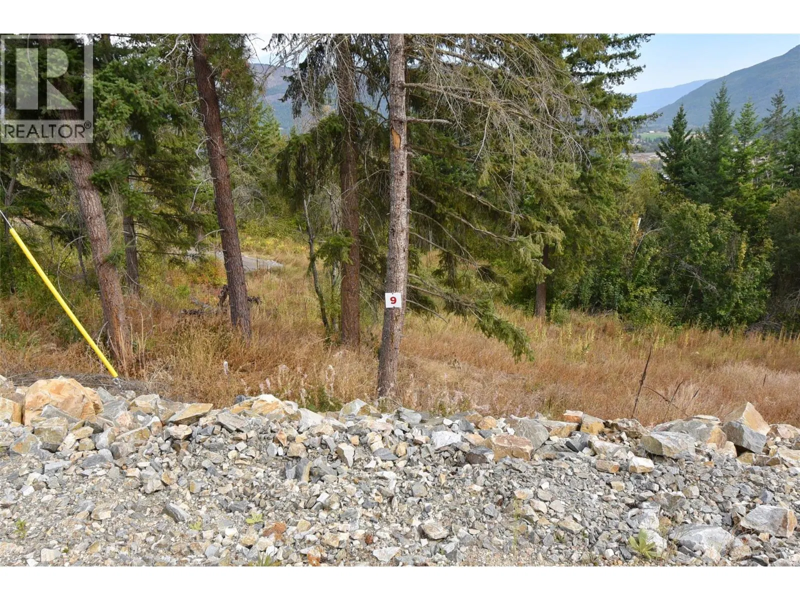 Photo 1 of 50 at 201 Crooked Pine Road