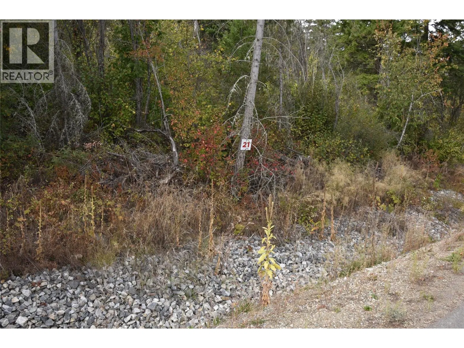 Photo 1 of 38 at 222 Crooked Pine Road