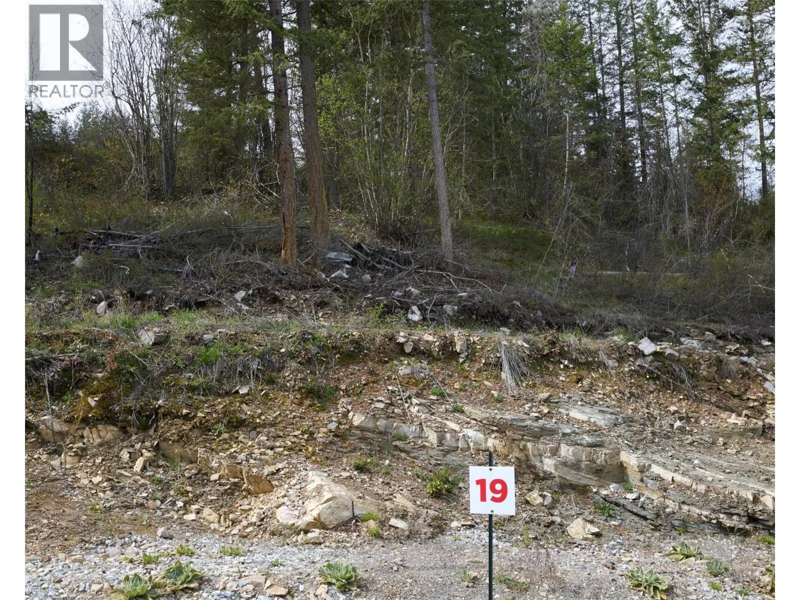 Photo 1 of 31 at 246 Crooked Pine Road