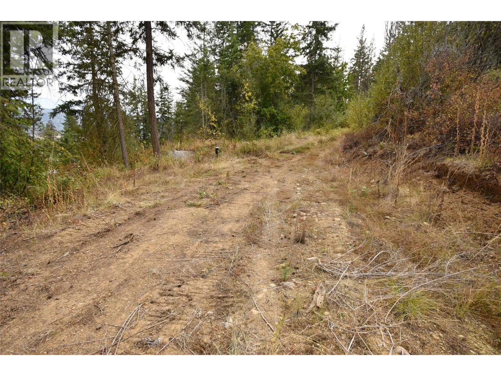 Photo 4 of 31 at 246 Crooked Pine Road