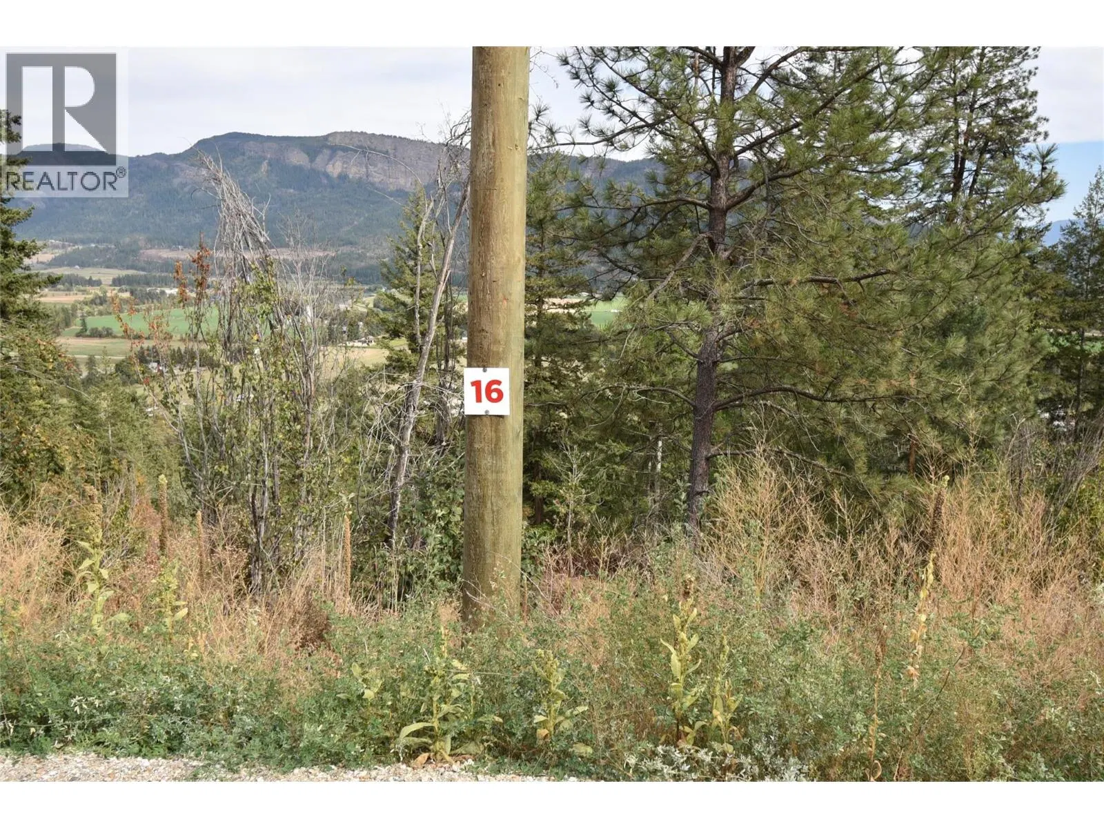 Photo 1 of 28 at 243 Crooked Pine Road