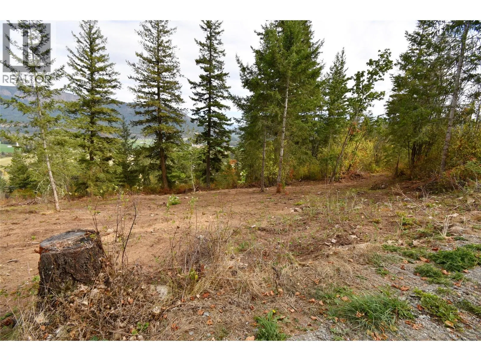 Photo 5 of 28 at 243 Crooked Pine Road