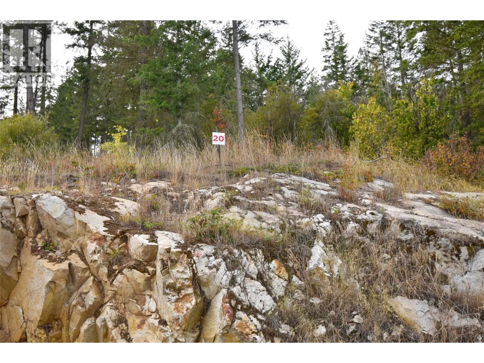 Photo 1 of 36 at 236 Crooked Pine Road