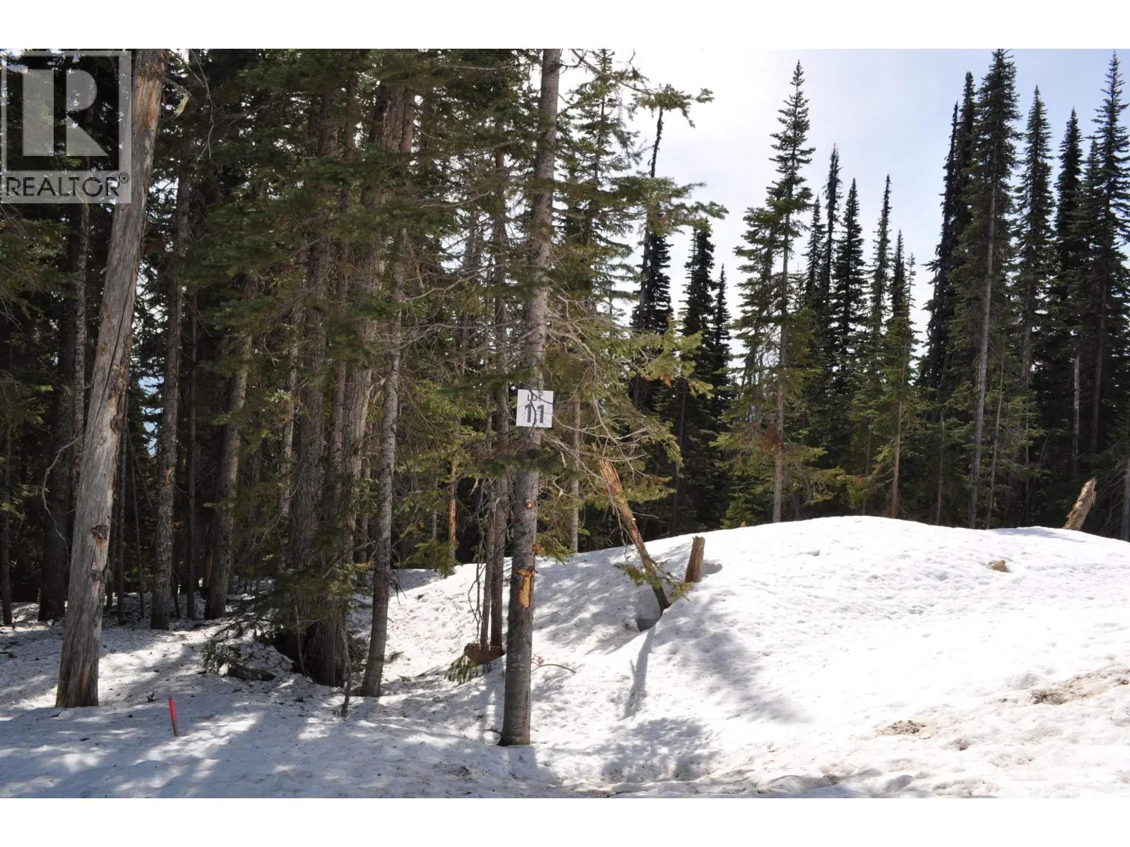 Photo 1 of 6 at Pr. St – Lt 11 ALPINE Way