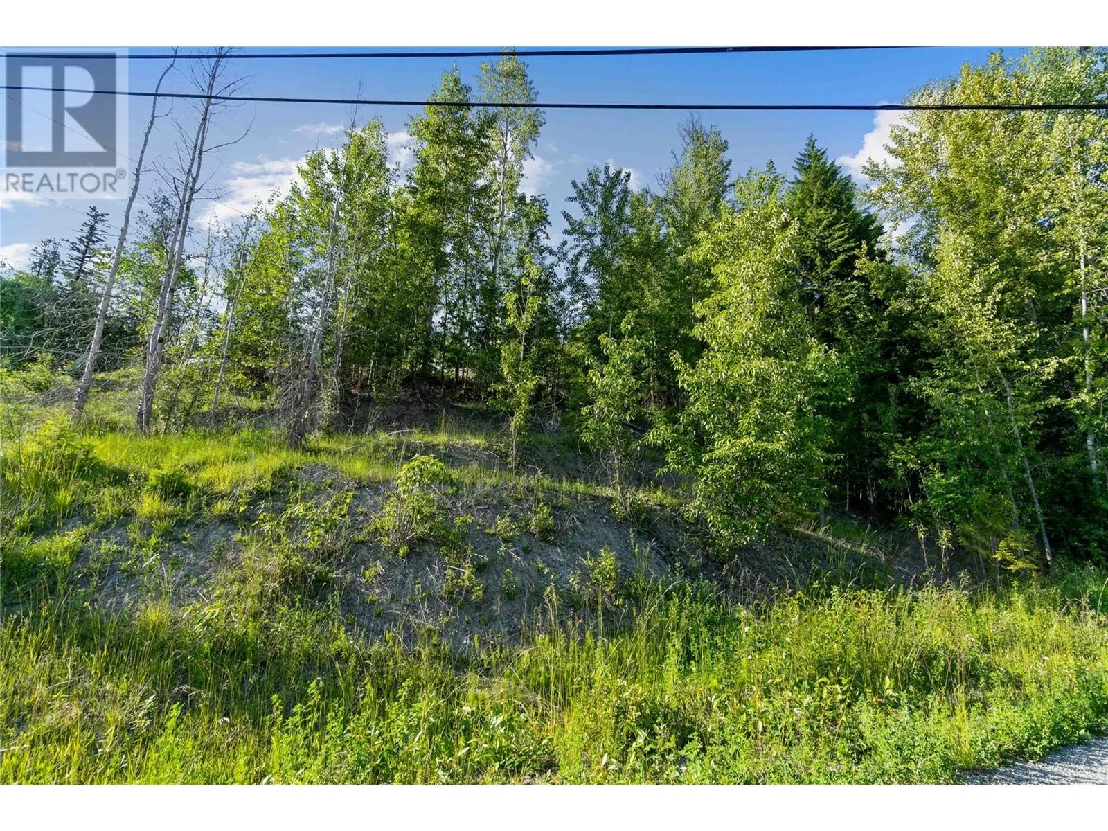 Photo 5 of 21 at 7227 Estate Drive
