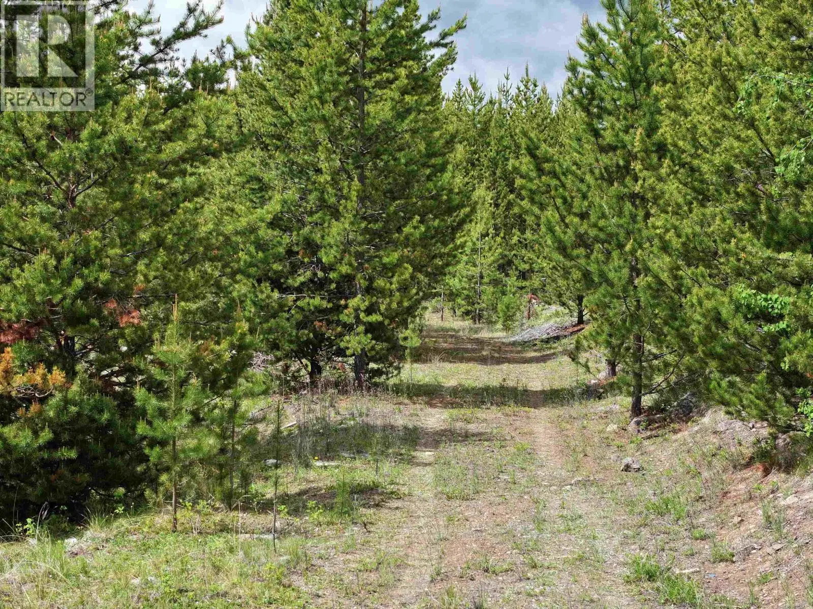 Lot 5 93 MILE LOOP Road