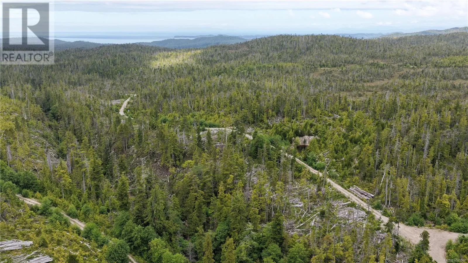 Photo 3 of 5 at Holberg Highway