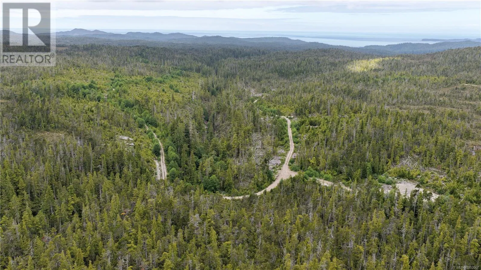 Photo 5 of 5 at Holberg Highway