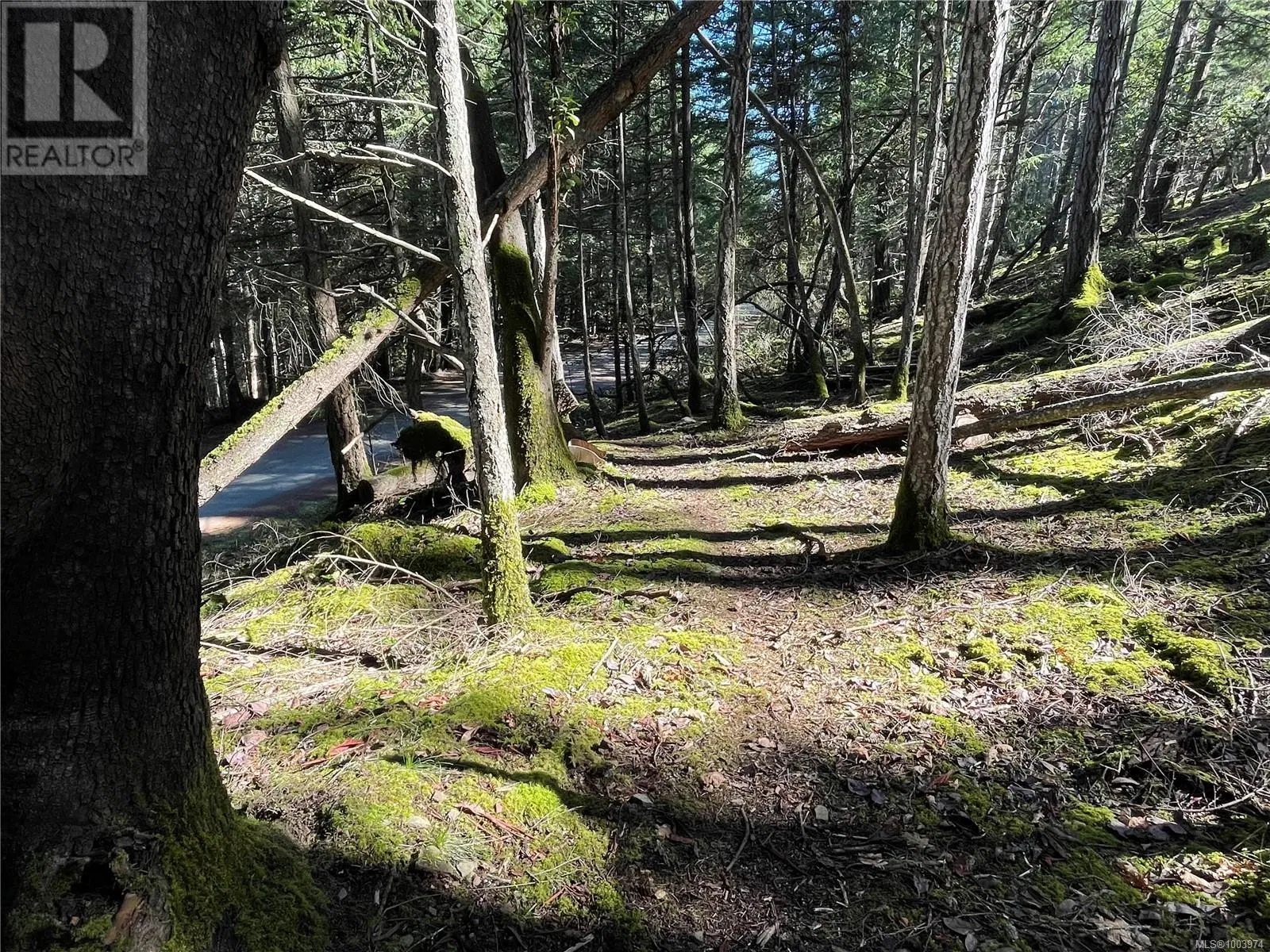 Photo 5 of 27 at Lot 145 Coho Boulevard