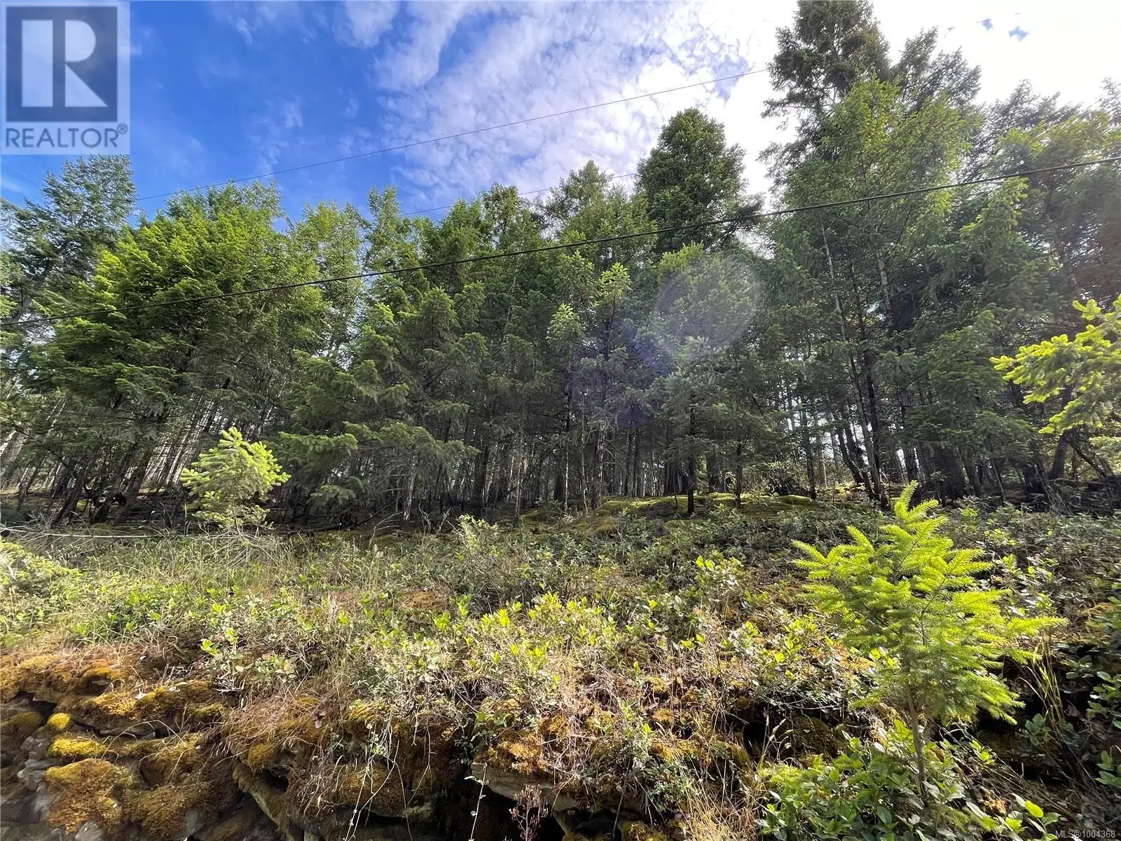 LOT 141 Coho Boulevard