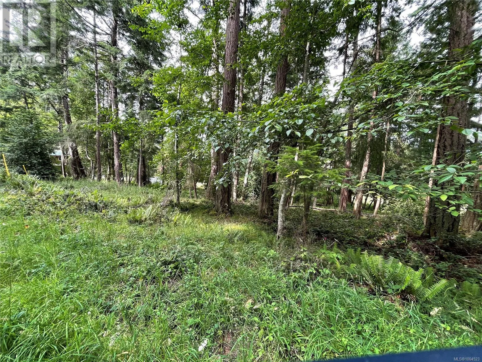 Photo 5 of 14 at Lot 17 Apple Orchard Way