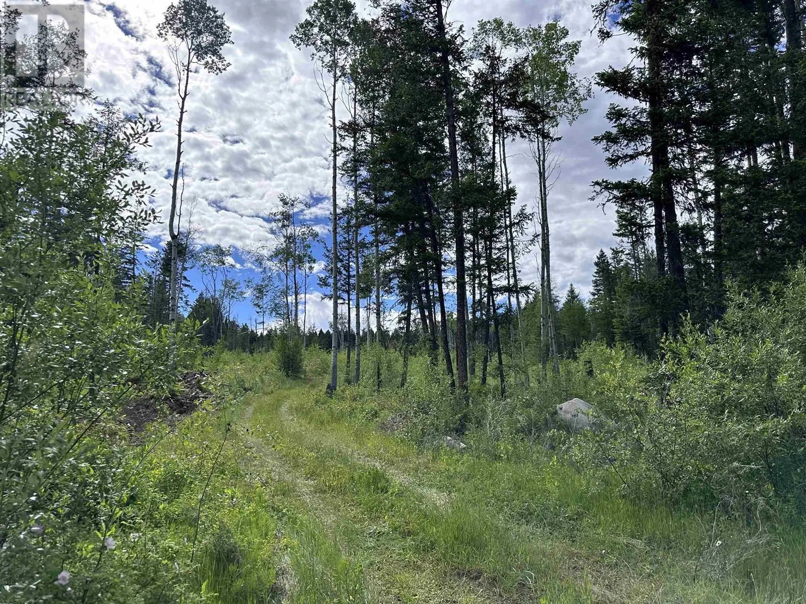 Photo 2 of 16 at LOT – 1 CHUCKWAGON Trail