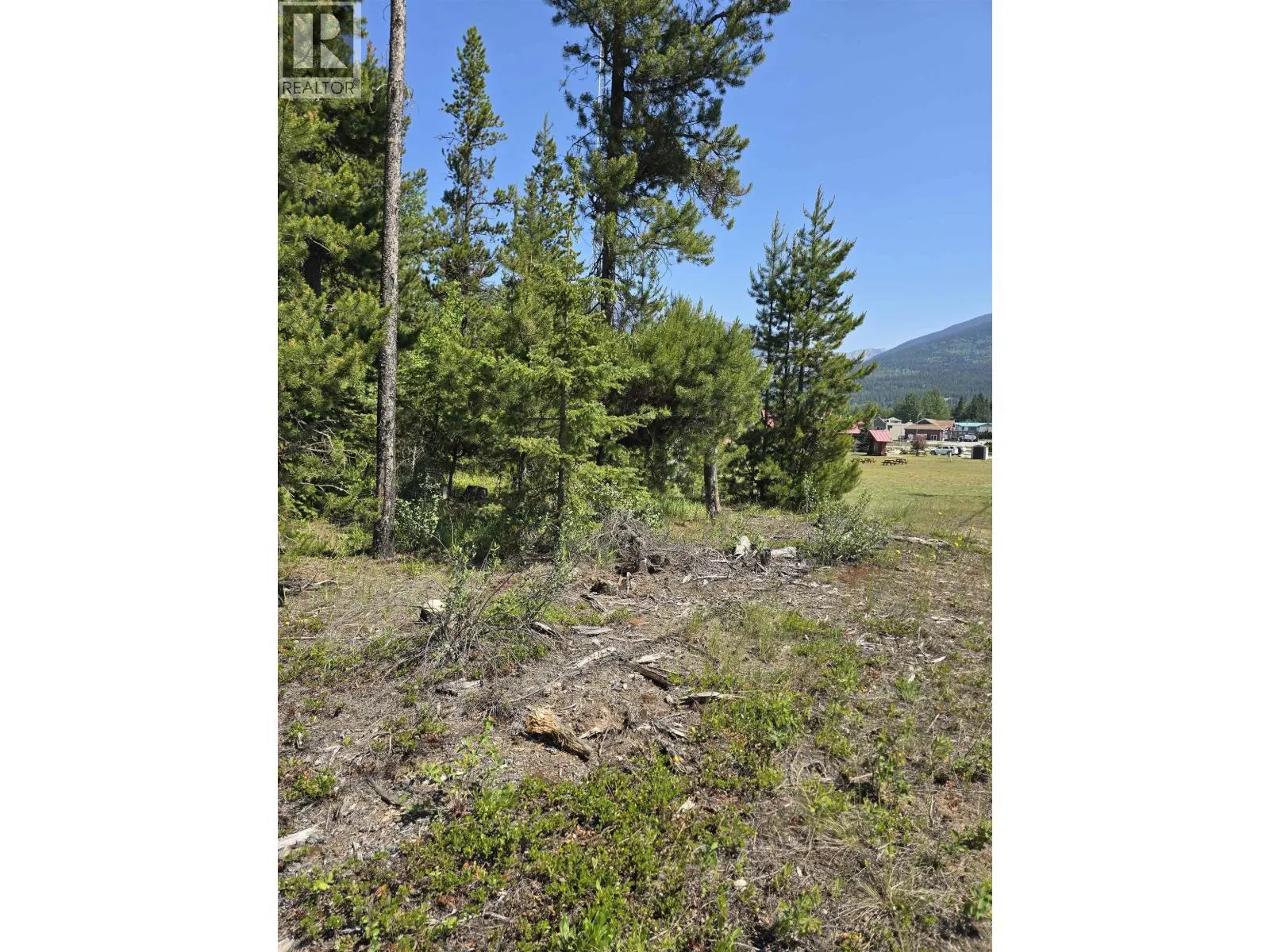 Photo 3 of 10 at LOT – 1 PINE Road