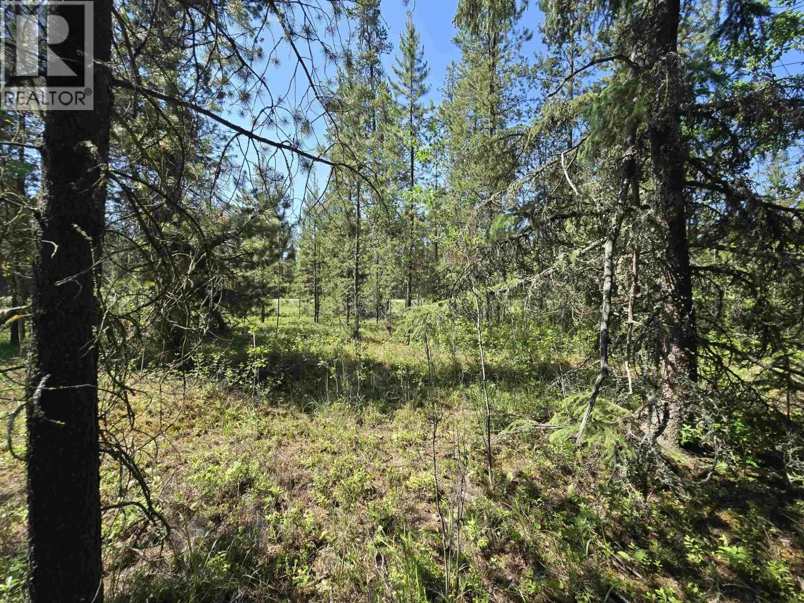 Photo 5 of 10 at LOT – 1 PINE Road