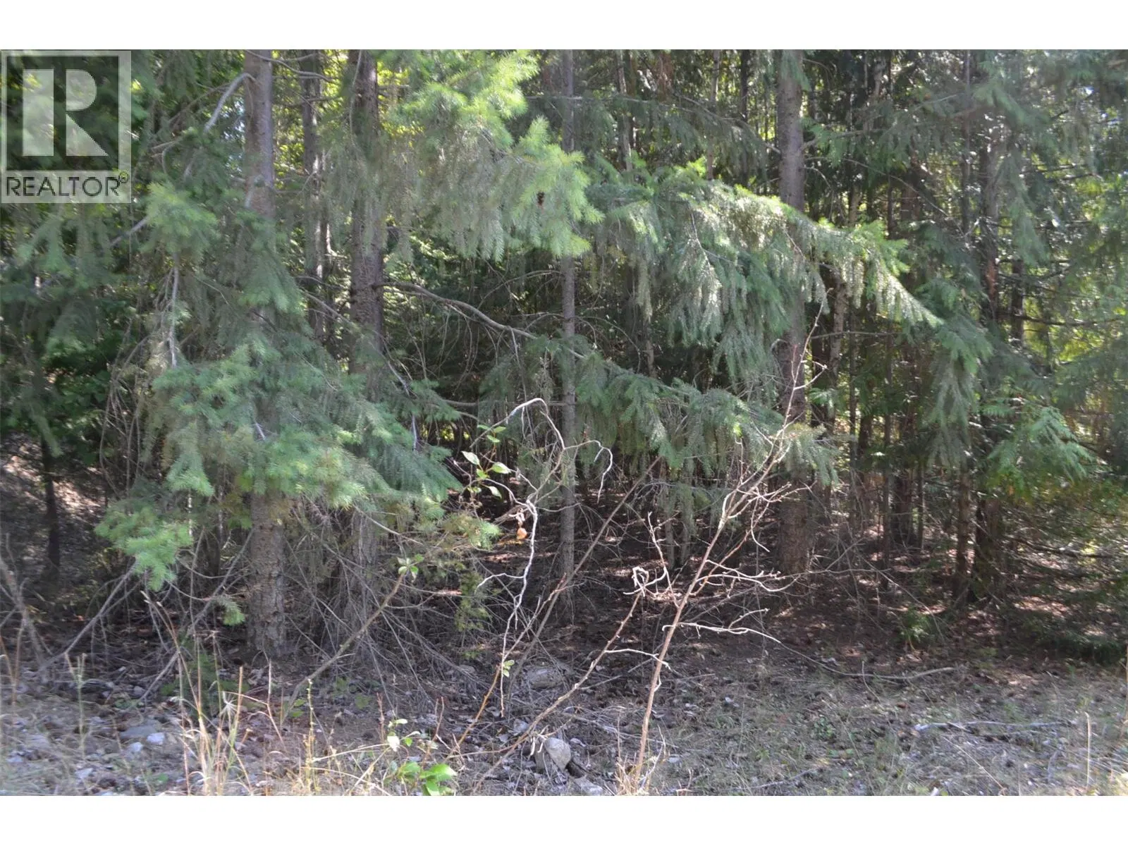 Photo 5 of 28 at Fraser Road