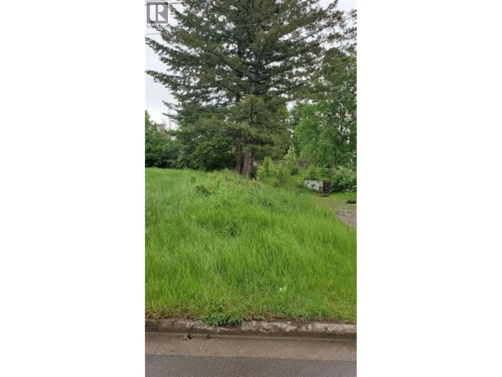 Photo 1 of 1 at 2224 TAMARACK Street
