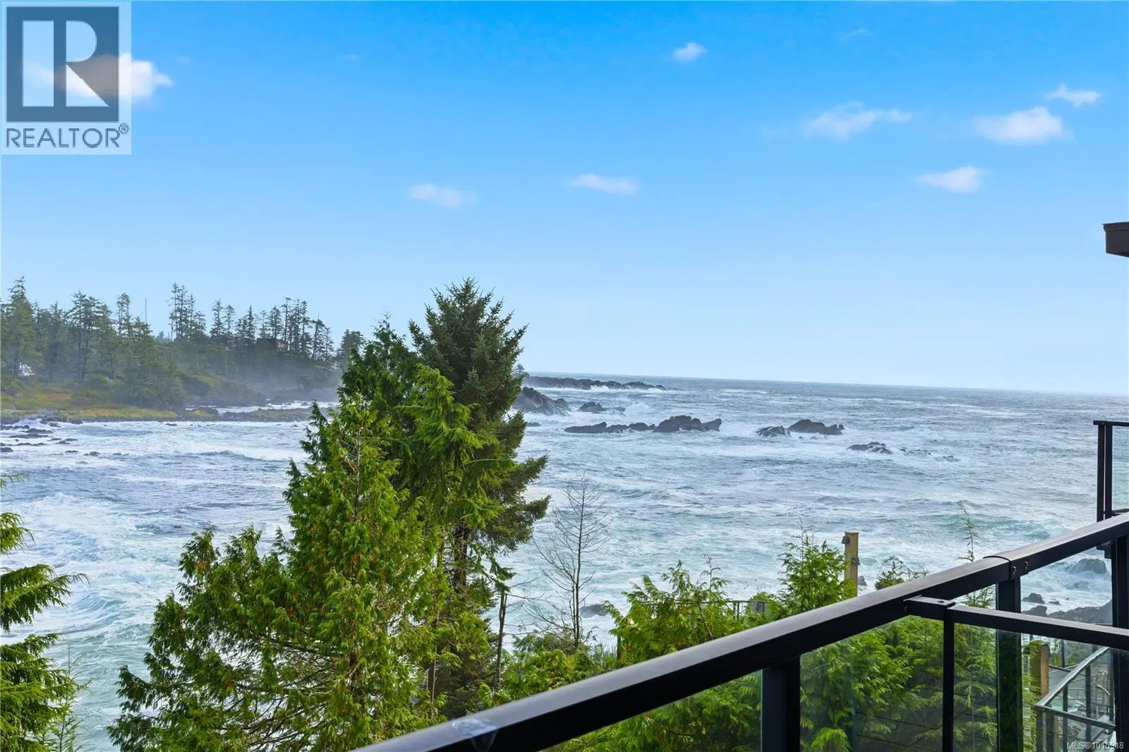 Photo 1 of 19 at #306 – 596 Marine Drive