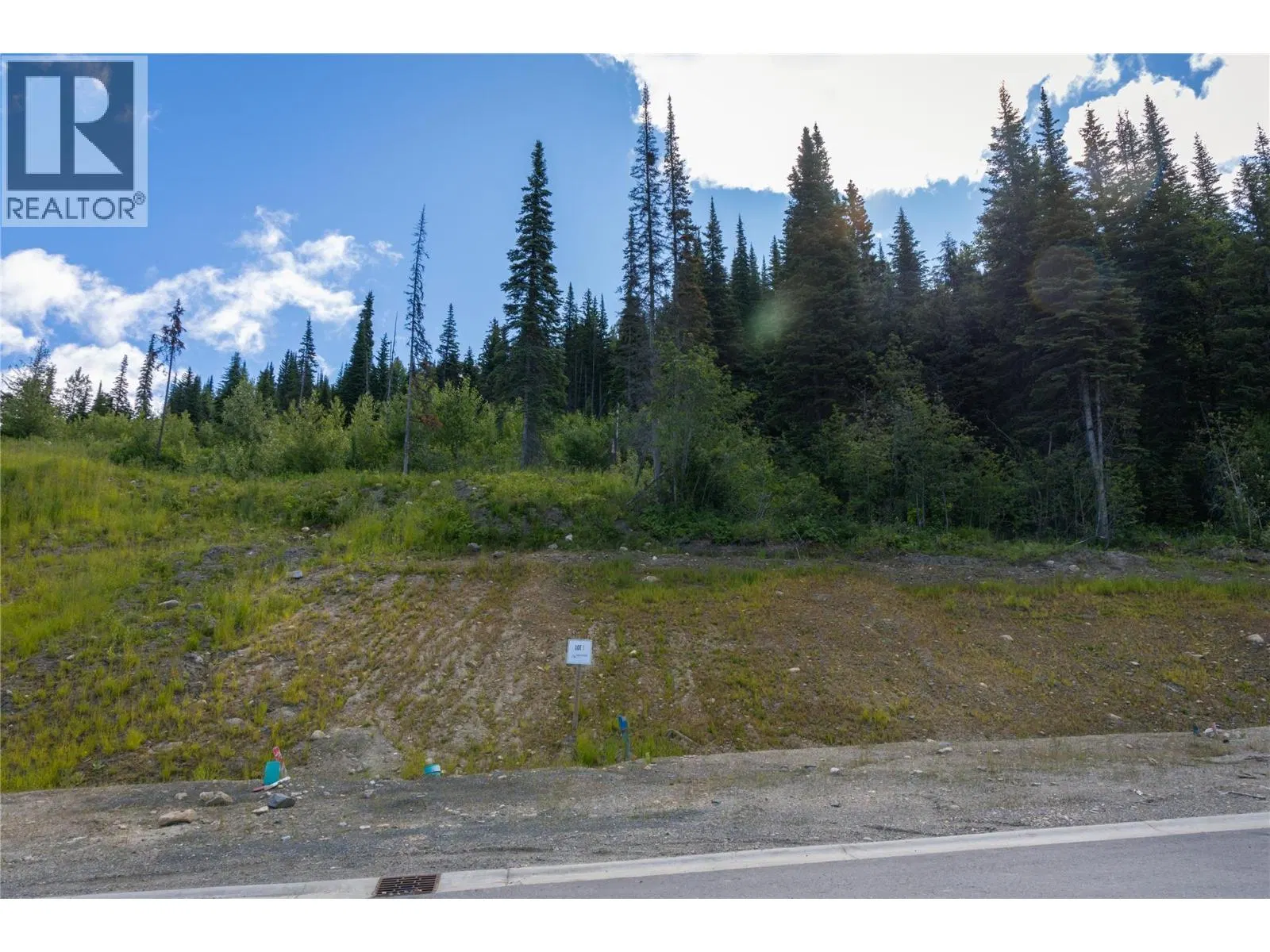 Photo 5 of 28 at LOT 4 MCGILLIVRAY LAKE Drive