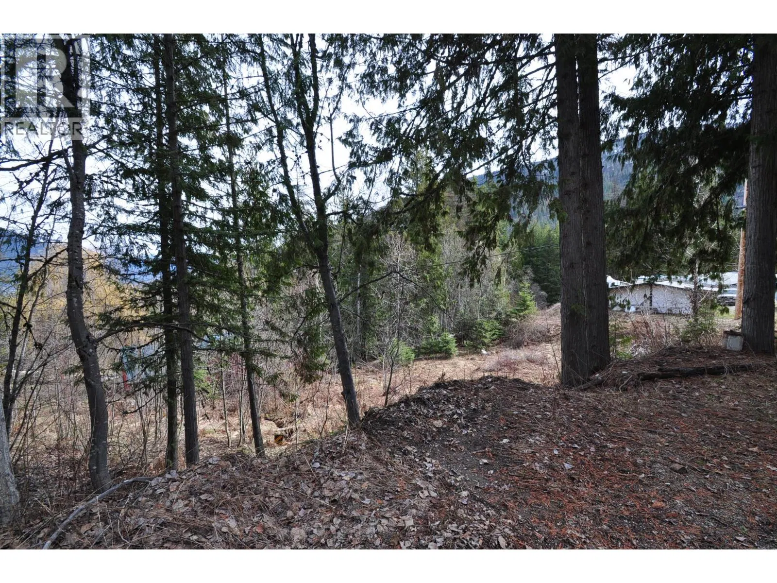 Photo 1 of 22 at 2835 SILVER KING Road