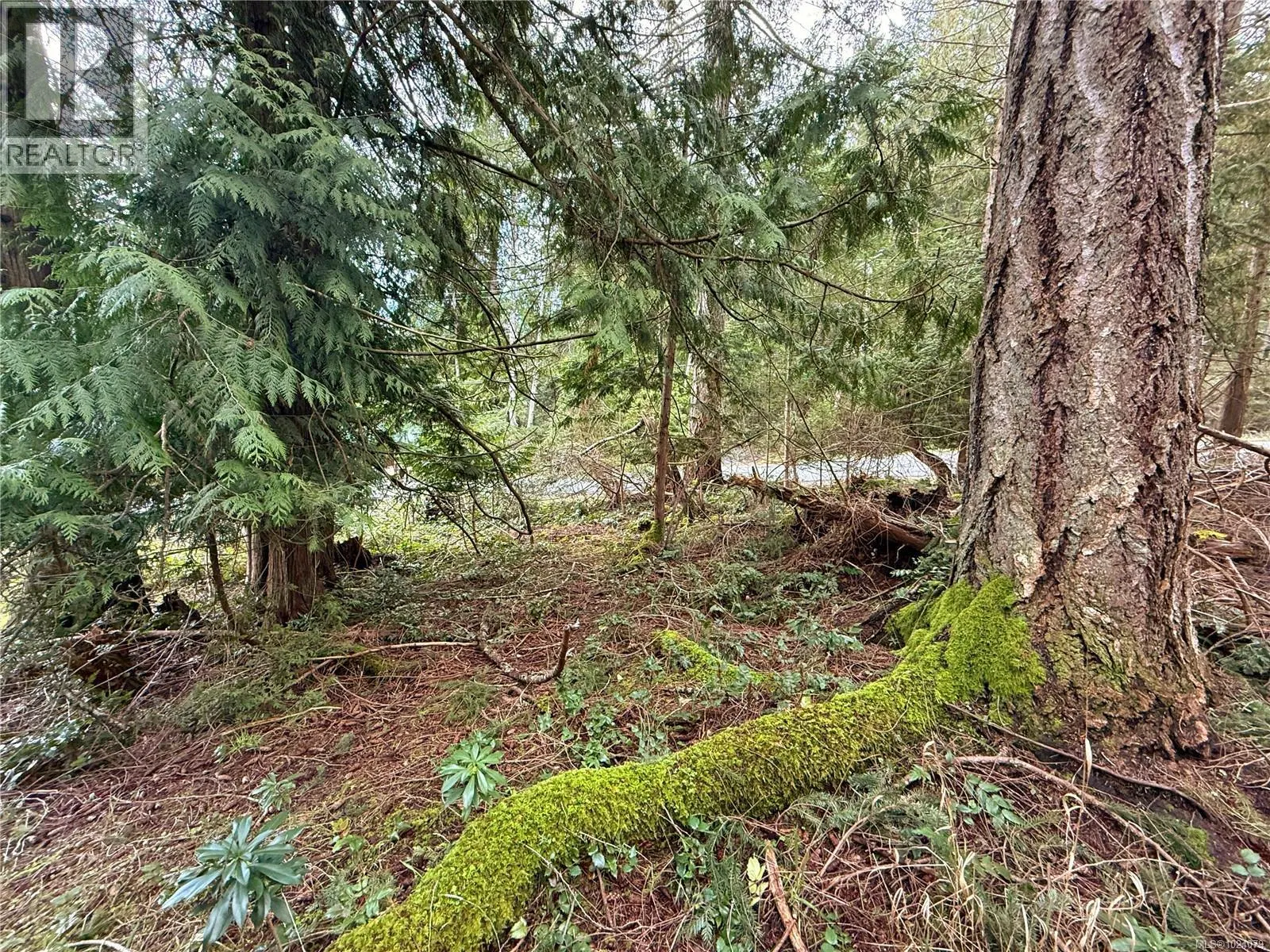 Photo 1 of 14 at Lt 37 Dirksen Road