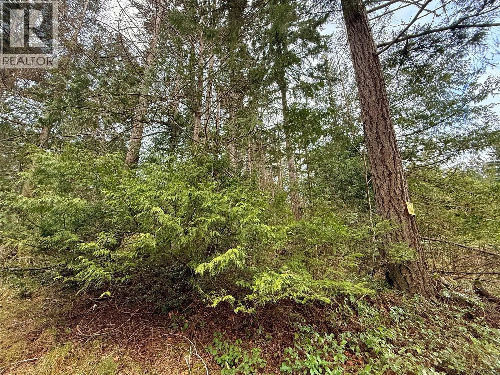 Photo 4 of 14 at Lt 37 Dirksen Road