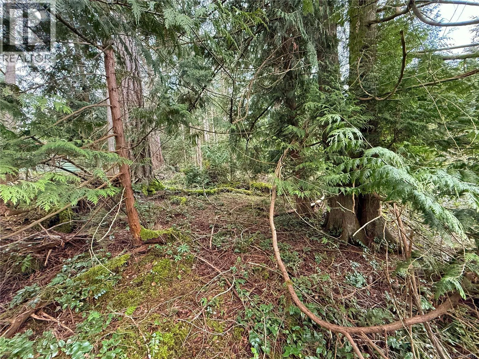 Photo 5 of 14 at Lt 37 Dirksen Road
