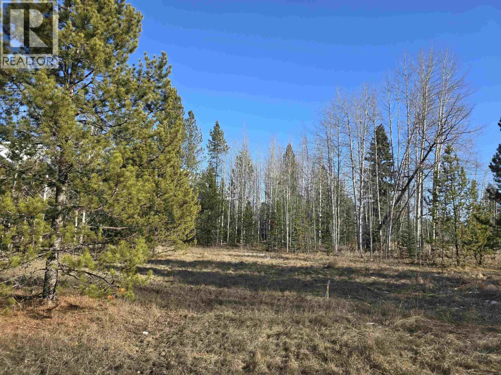 Photo 1 of 8 at LOT – 1 13TH Avenue