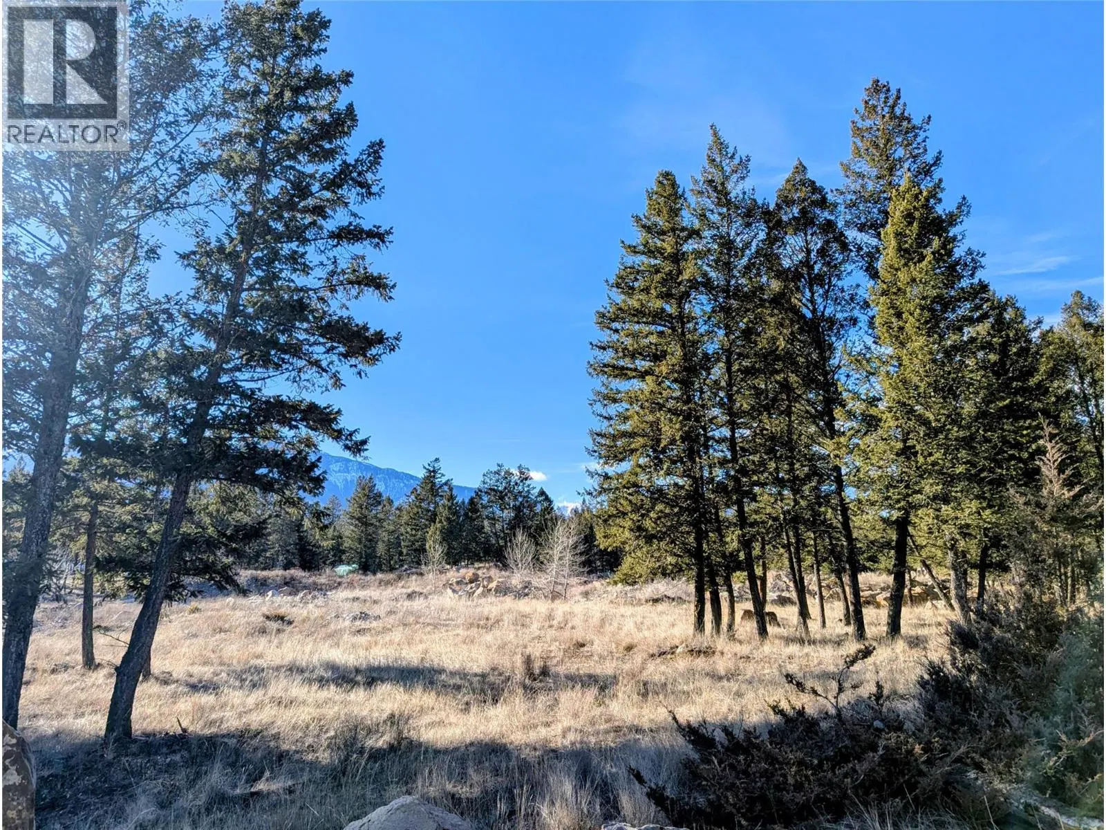 Photo 2 of 19 at 2476 CASTLESTONE Drive