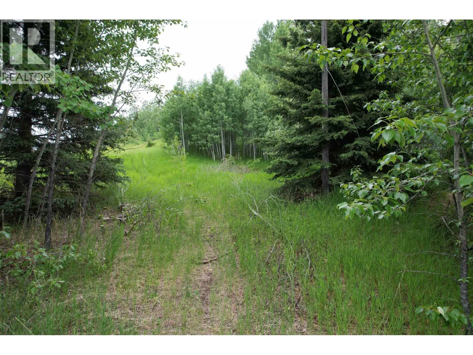 Photo 3 of 27 at LOT 15 MCCARTHY Road