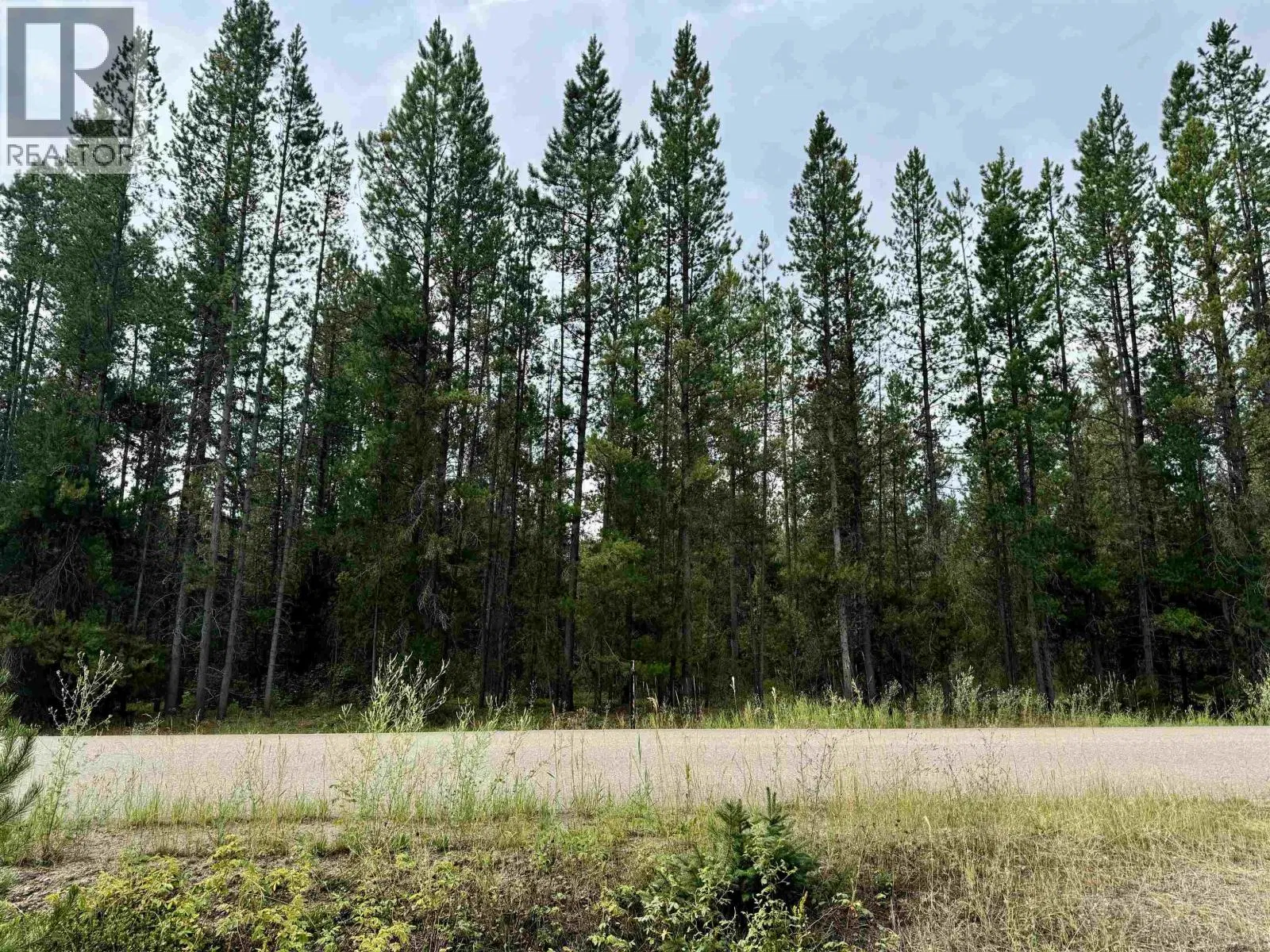 LOT – 8 PINE Road