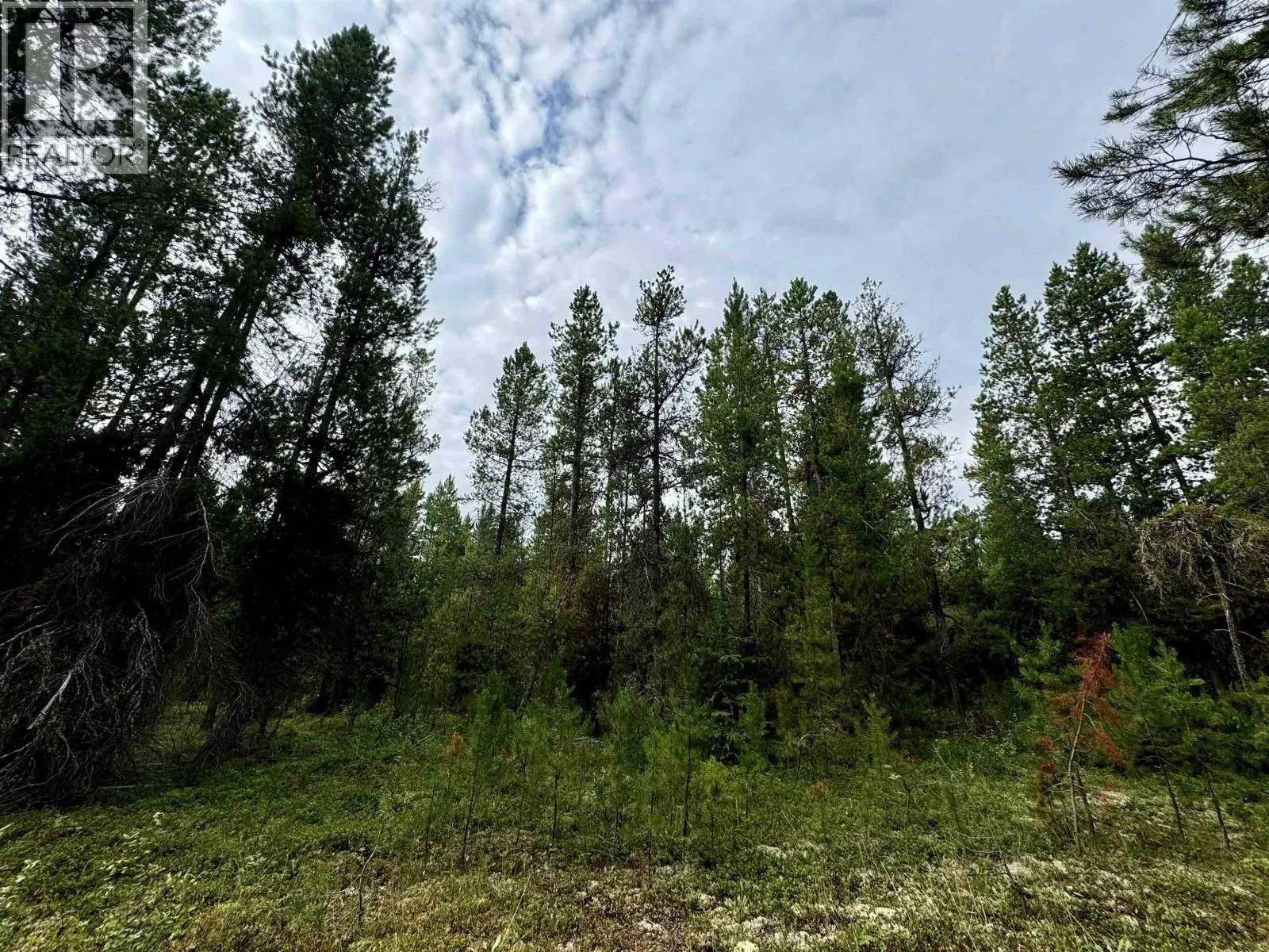 Photo 5 of 9 at LOT – 8 PINE Road