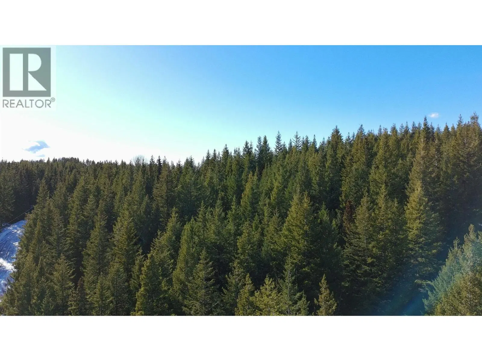 Photo 4 of 12 at 2655 BUNTING LAKE Road