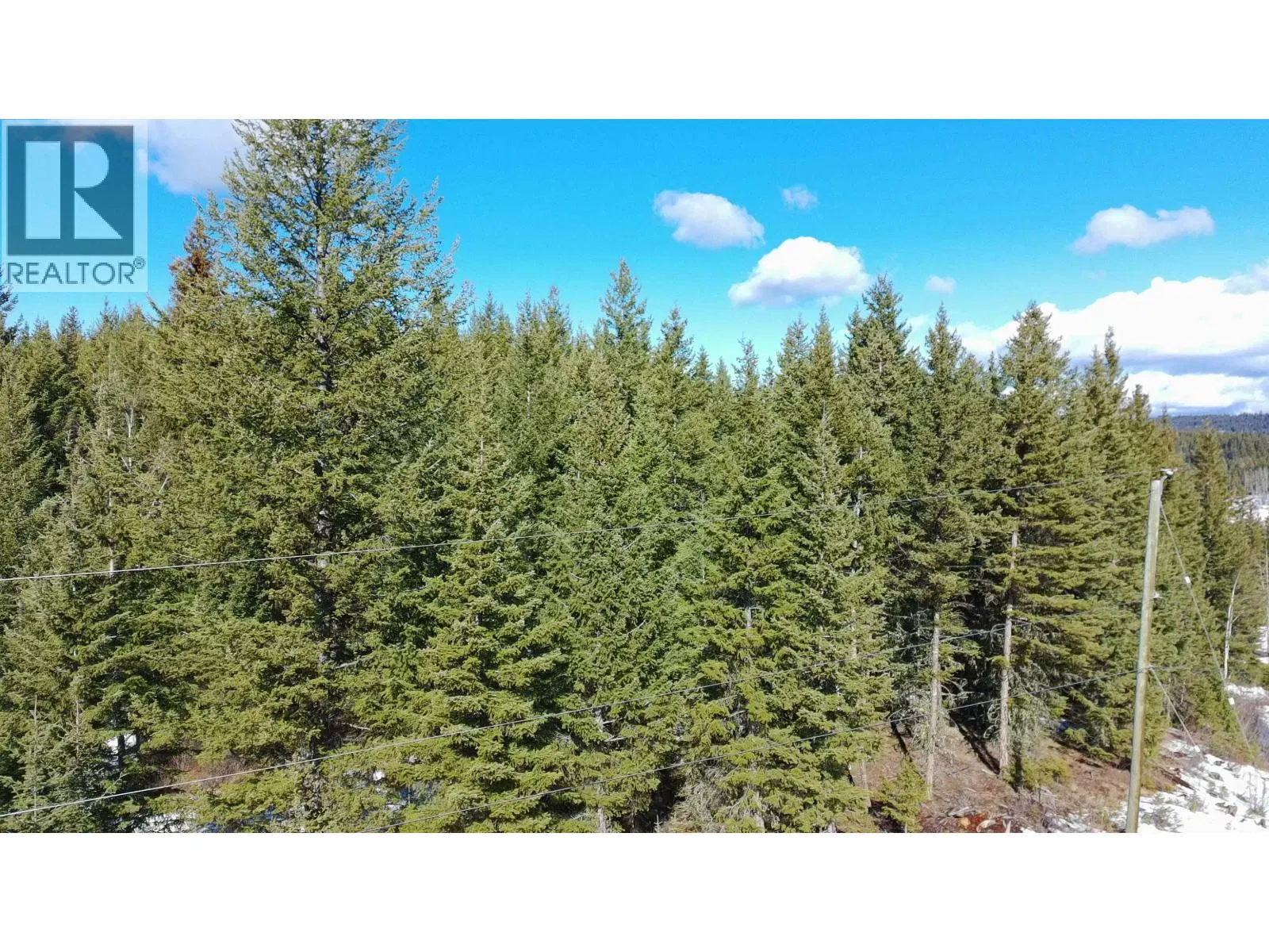 Photo 5 of 12 at 2655 BUNTING LAKE Road